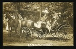 I. I. & C. Pageant horse and carriage